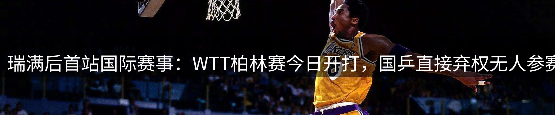 网站资讯