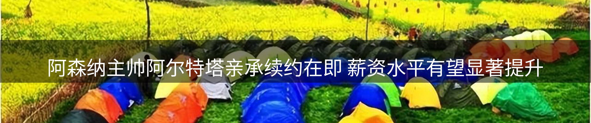 网站资讯